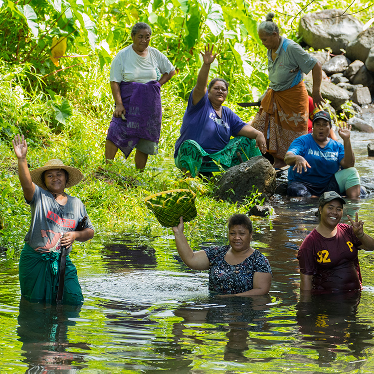 Samoa villagers bathing in fres water
